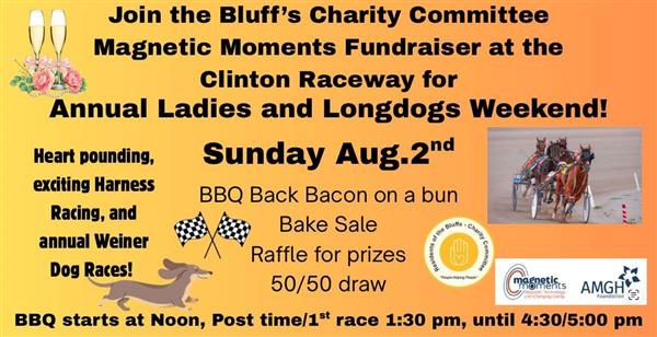 poster for day at the races