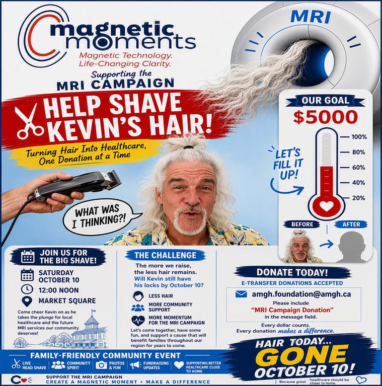 Help Shave Kevin's Hair poster